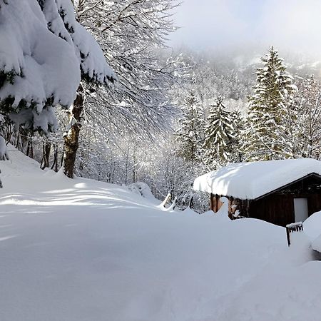 Ferienhaus Baerschwendi Lungern Exteriör bild