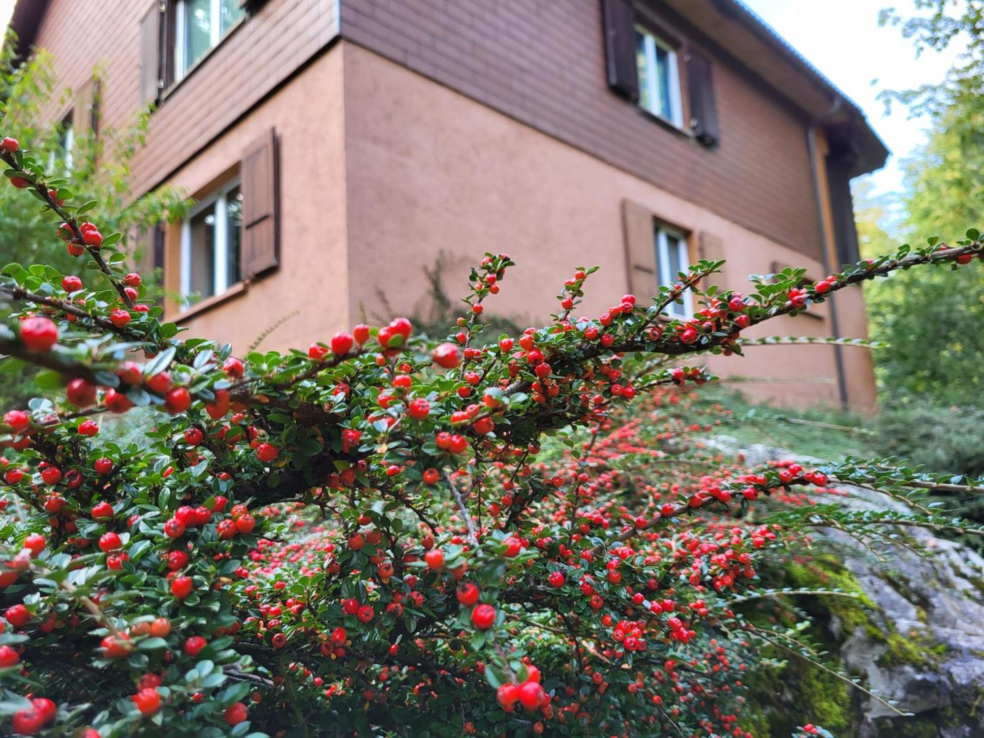Ferienhaus Baerschwendi Lungern Exteriör bild