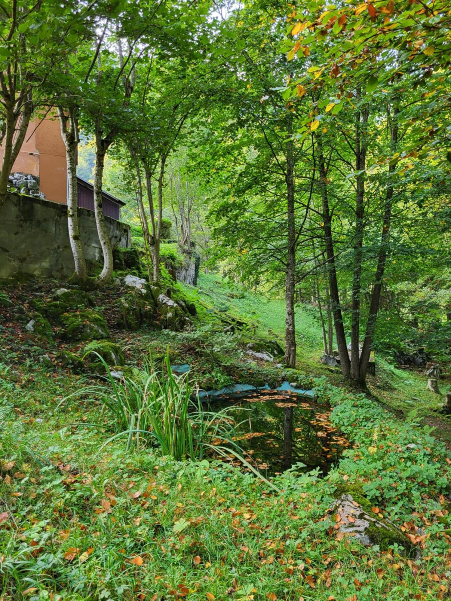 Ferienhaus Baerschwendi Lungern Exteriör bild