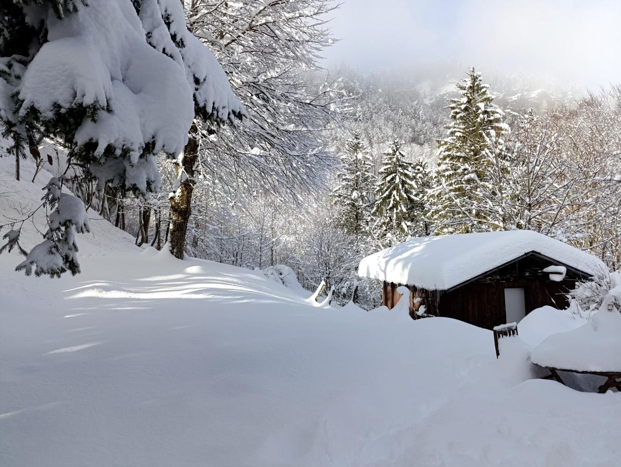 Ferienhaus Baerschwendi Lungern Exteriör bild