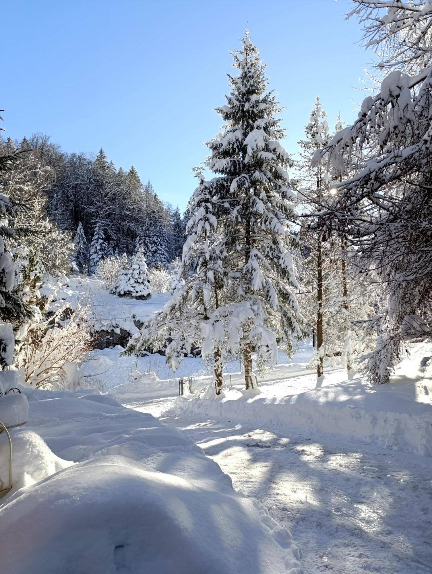 Ferienhaus Baerschwendi Lungern Exteriör bild