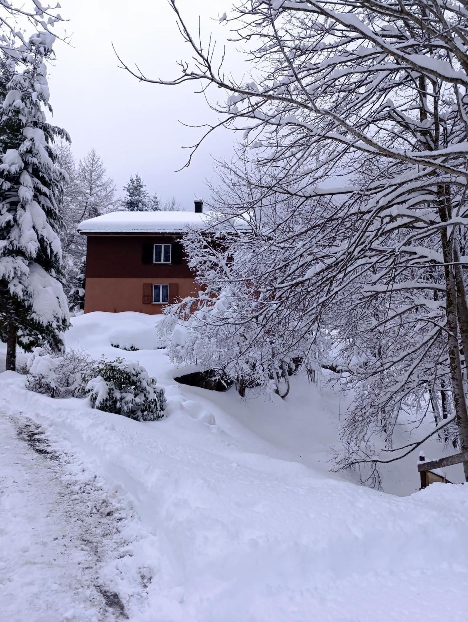 Ferienhaus Baerschwendi Lungern Exteriör bild